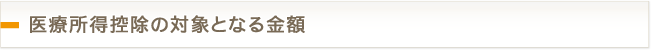 医療所得控除の対象となる金額