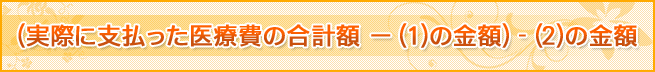 (実際に支払った医療費の合計額　－　(1)の金額)　-　(2)の金額