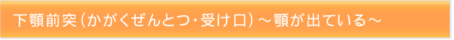 下顎前突（かがくぜんとつ・受け口）～顎が出ている～